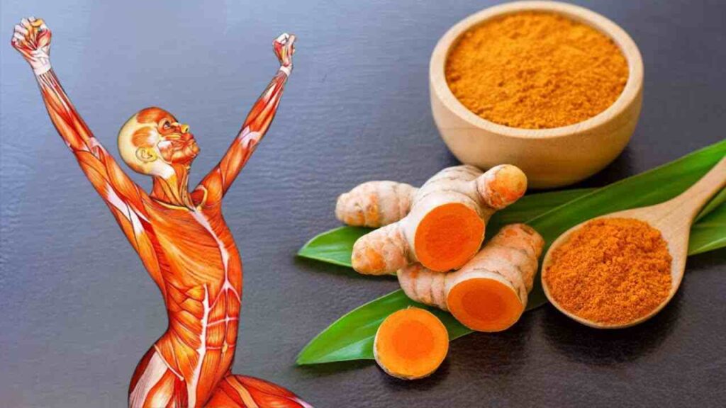 Benefits Of Organic Turmeric Powder From Maharashtra India